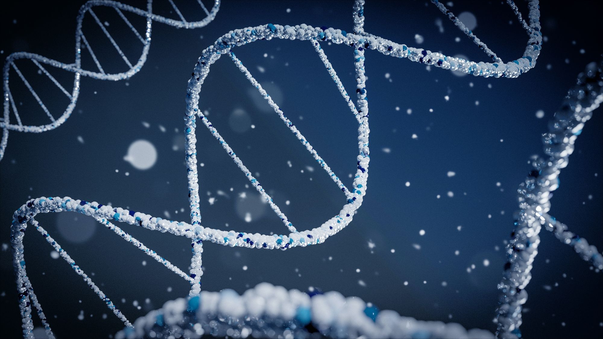 Defending the hypothesis as a framework for scientific experimentation